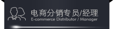 电商分销专员/经理